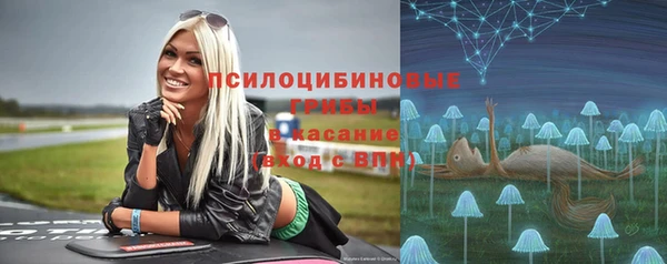 spice Верхний Тагил
