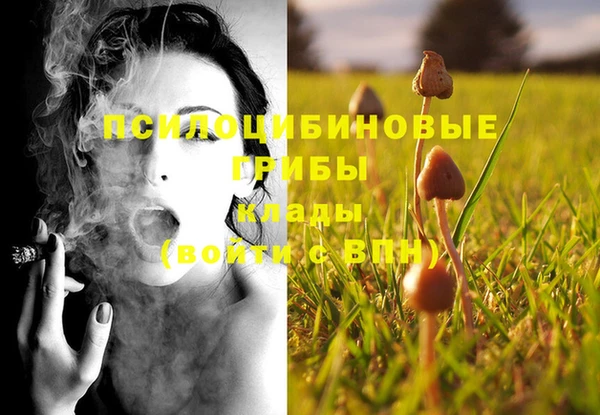 spice Верея