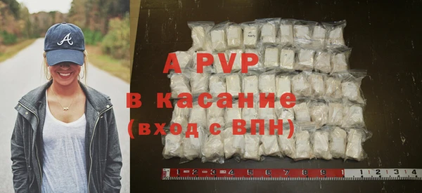 spice Верея