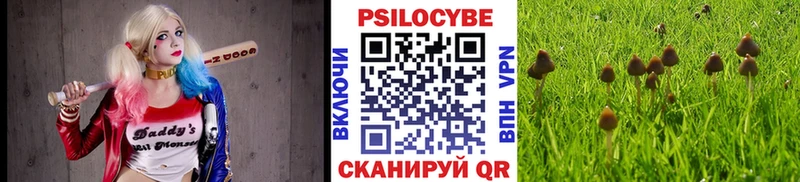 наркотики  Вилюйск  Галлюциногенные грибы мицелий 
